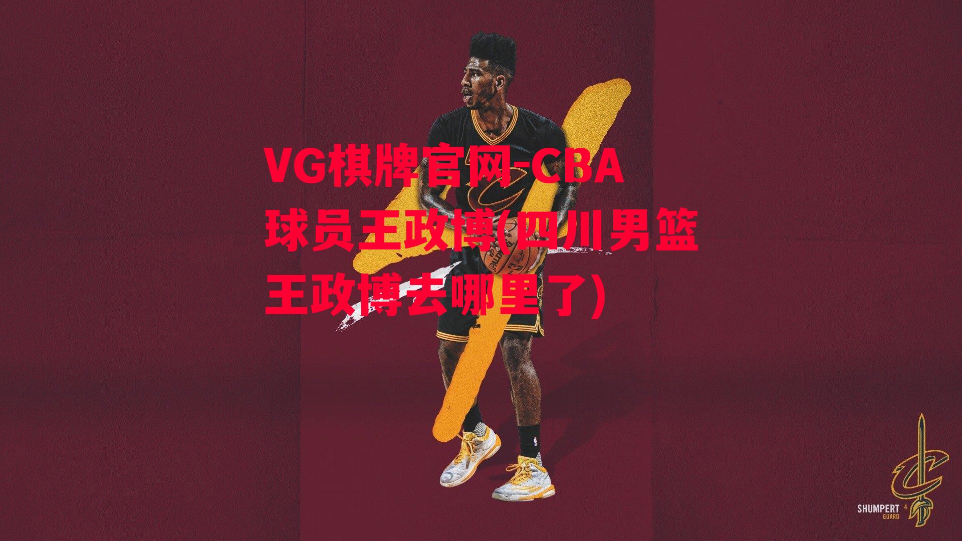 VG棋牌官网-CBA球员王政博(四川男篮王政博去哪里了)