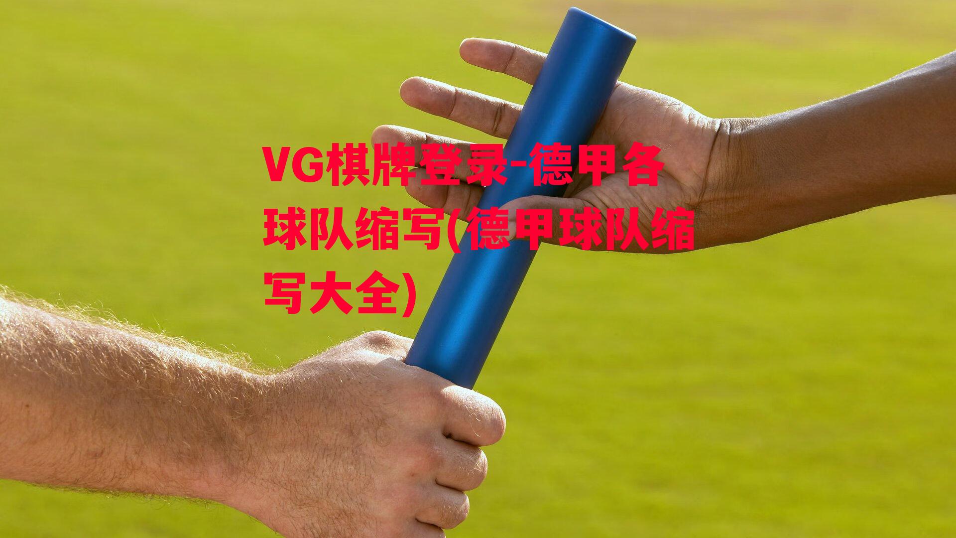 VG棋牌登录-德甲各球队缩写(德甲球队缩写大全)